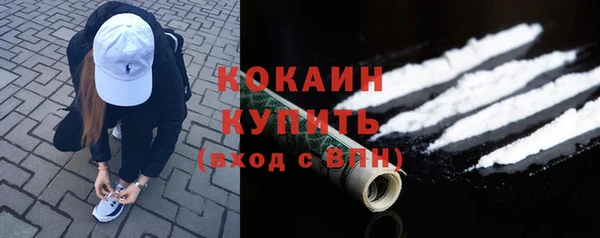кокс Елизово