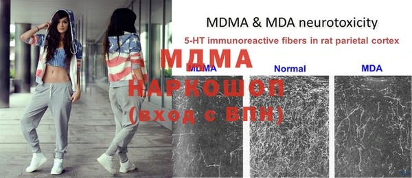 кокс Елизово