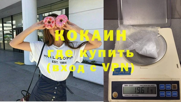 кокс Елизово